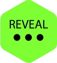 Reveal hover button 1